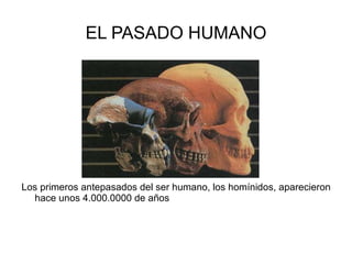 EL PASADO HUMANO Los primeros antepasados del ser humano, los homínidos, aparecieron hace unos 4.000.0000 de años 