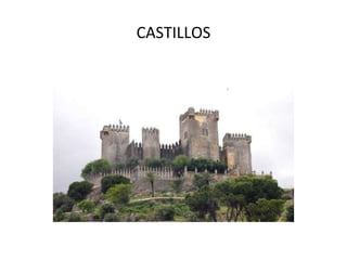 CASTILLOS 