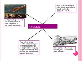 Agricultura
Al observar lo que ocurría
con las semillas en el
suelo se percató el
crecimiento de plantas
Para cultivar estas
semillas utilizaban lugares
como cerca de los ríos
para aprovechar el agua y
así producir alimento. Esto
provoco que el hombre se
volviera sedentario
Al ver como se producía
estas cosechas se origino
la elaboración de
recipientes y cestos
Para realizar estas tareas se
construyeron herramientas
para el arado.
 