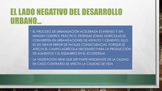 EL LADO NEGATIVO DEL DESARROLLO
URBANO…
• EL PROCESO DE URBANIZACIÓN ACELERADA ES INTENSO Y SIN
NINGÚN CONTROL PRÁCTICO. EXTENSAS ZONAS AGRÍCOLAS SE
CONVIERTEN EN URBANIZACIONES DE ASFALTO Y CEMENTO; ELLO
ES UN GRAVE ERROR DE FATALES CONSECUENCIAS, PORQUE SE
AFECTA EL CAMPO AGRÍCOLA NECESARIO PARA LA PRODUCCIÓN
DE ALIMENTOS Y EL EQUILIBRIO EN EL ECOSISTEMA.
• LA VEGETACIÓN TIENE QUE SER PARTE INTEGRANTE DE LA CIUDAD;
EN CASO CONTRARIO SE AFECTA LA CALIDAD DE VIDA
 