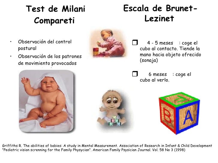 Desarrollo Y Crecimiento De 4 A 6 Meses
