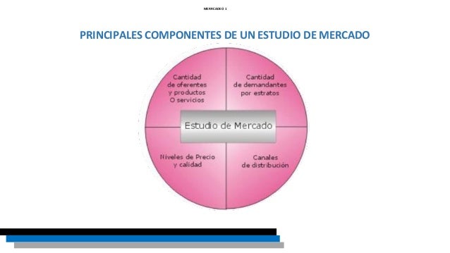 Desarrollo y estudio de mercados
