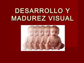 DESARROLLO YDESARROLLO Y
MADUREZ VISUALMADUREZ VISUAL
 
