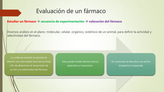 Evaluación de un fármaco
Estudiar un fármaco  secuencia de experimentación  valoración del fármaco
Diversos análisis en el plano: molecular, celular, orgánico, sistémico de un animal, para definir la actividad y
selectividad del fármaco.
La molécula también se estudia en
relación con otra amplia serie de acciones
a fin de determinar el mecanismo de
acción y la selectividad del fármaco
Esto puede revelar efectos tóxicos
esperados e imprevistos
En ocasiones se descubre una acción
terapéutica inesperada.
 