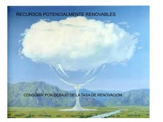 RECURSOS POTENCIALMENTE RENOVABLES 
CONSUMIR POR DEBAJO DE LA TASA DE RENOVACIÓN 
 