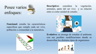 Posee varios
enfoques:
Descriptivo: considera la vegetación,
animales, parte del ser vivo y su relación
entre si como unidad de estudio.
Funcional: estudia las características
especificas que cumple cada ser vivo,
población o comunidad a la naturaleza.
Evolutivo: se encarga de estudiar el ambiente
con sus posibles modificaciones donde se
desarrollan los distintos tipos de organismos.
 