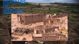 DESASTRE
DE
MARIANA
 