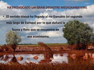 • El vertido tóxico ha llegado al río Danubio (el segundo
más largo de Europa) por lo que dañará la
fauna y flora que se encuentre en
ese ecosistema.
HA PROVOCADO UN GRAN DESASTRE MEDIOAMBIENTAL
 
