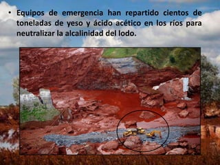• Equipos de emergencia han repartido cientos de
toneladas de yeso y ácido acético en los ríos para
neutralizar la alcalinidad del lodo.
 