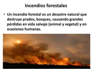 Incendios forestales
• Un incendio forestal es un desastre natural que
destruye prados, bosques, causando grandes
pérdidas en vida salvaje (animal y vegetal) y en
ocasiones humanas.

 