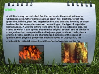 Wildfire A  wildfire is any uncontrolled fire that occurs in the countryside or a wilderness area. Other names such as brush fire, bushfire, forest fire, grass fire, hill fire, peat fire, vegetation fire, and wildland fire may be used to describe the same phenomenon depending on the type of vegetation being burned. A wildfire differs from other fires by its extensive size, the speed at which it can spread out from its original source, and its ability to change direction unexpectedly and to jump gaps, such as roads, rivers and  fire  breaks. Wildfires are characterized in terms of the cause of ignition, their physical properties such as speed of  propagation , the combustible material present, and the effect of weather   on the fire 