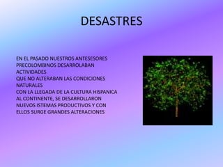 DESASTRES

EN EL PASADO NUESTROS ANTESESORES
PRECOLOMBINOS DESARROLABAN
ACTIVIDADES
QUE NO ALTERABAN LAS CONDICIONES
NATURALES
CON LA LLEGADA DE LA CULTURA HISPANICA
AL CONTINENTE, SE DESARROLLARON
NUEVOS ISTEMAS PRODUCTIVOS Y CON
ELLOS SURGE GRANDES ALTERACIONES
 