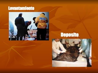 Deposito . Levantamiento   