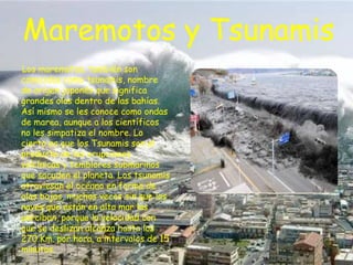 Maremotos y Tsunamis
Los maremotos, también son
conocidos como tsunamis, nombre
de origen japonés que significa
grandes olas dentro de las bahías.
Así mismo se les conoce como ondas
de marea, aunque a los científicos
no les simpatiza el nombre. Lo
cierto es que los Tsunamis son el
producto de las erupciones
volcínicas y temblores submarinos
que sacuden el planeta. Los tsunamis
atraviesan el océano en forma de
olas bajas, muchas veces sin que las
naves que están en alta mar las
perciban, porque la velocidad con
que se deslizan alcanza hasta los
270 Km. por hora, a intervalos de 15
minutos.

 