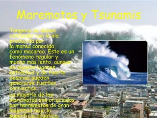 Maremotos y Tsunamis
Tampoco se deben
confundir con la ola
producida por
la marea conocida
como macareo. Éste es un
fenómeno regular y
mucho más lento, aunque
en algunos lugares
estrechos y de fuerte
desnivel pueden
generarse fuertes
corrientes.
La mayoría de los
maremotos son originados
por terremotos de gran
magnitud bajo la
superficie acuática.

 