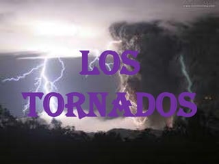 Los
Tornados

 