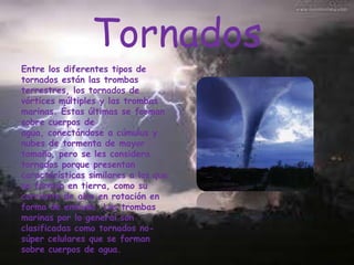 Tornados
Entre los diferentes tipos de
tornados están las trombas
terrestres, los tornados de
vórtices múltiples y las trombas
marinas. Éstas últimas se forman
sobre cuerpos de
agua, conectándose a cúmulus y
nubes de tormenta de mayor
tamaño, pero se les considera
tornados porque presentan
características similares a los que
se forman en tierra, como su
corriente de aire en rotación en
forma de embudo. Las trombas
marinas por lo general son
clasificadas como tornados nosúper celulares que se forman
sobre cuerpos de agua.

 