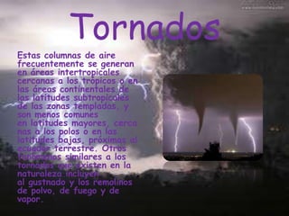 Tornados

Estas columnas de aire
frecuentemente se generan
en áreas intertropicales
cercanas a los trópicos o en
las áreas continentales de
las latitudes subtropicales
de las zonas templadas, y
son menos comunes
en latitudes mayores, cerca
nas a los polos o en las
latitudes bajas, próximas al
ecuador terrestre. Otros
fenómenos similares a los
tornados que existen en la
naturaleza incluyen
al gustnado y los remolinos
de polvo, de fuego y de
vapor.

 