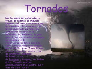 Tornados
Los tornados son detectados a
través de radares de impulsos
Doppler, así como visualmente por
los cazadores de tormentas. Se
les ha observado en todos los
continentes excepto en la
Antártida. No obstante, la gran
mayoría de los tornados del mundo
se producen en la
región estadounidense conocida
como Tornado Alley y es seguida
por el Pasillo de los Tornados que
afecta el noroeste, centro y sur
de Argentina, sudoeste
de Brasil, y sur
de Paraguay y Uruguay, en Sudam
érica. También ocurren
ocasionalmente en el centro-sur y
este de Asia, sur de

 