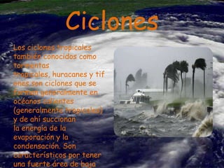 Ciclones
Los ciclones tropicales
también conocidos como
tormentas
tropicales, huracanes y tif
ones son ciclones que se
forman generalmente en
océanos calientes
(generalmente tropicales)
y de ahí succionan
la energía de la
evaporación y la
condensación. Son
característicos por tener
una fuerte área de baja

 