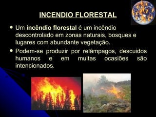 INCENDIO FLORESTAL Um  incêndio florestal  é um incêndio descontrolado em zonas naturais, bosques e lugares com abundante vegetação.  Podem-se produzir por relâmpagos, descuidos humanos e em muitas ocasiões são intencionados. 