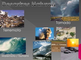 Desastres Naturais Tornado Terremoto Outros fenômenos Maremoto / Tsunami 