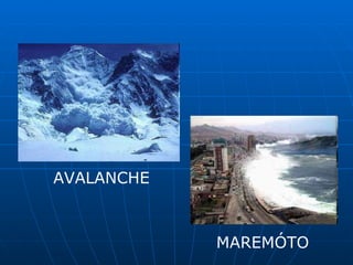 AVALANCHE MAREMÓTO 