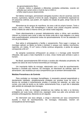 de aproximadamente 35cm;
- é robusto, rústico e adaptado a diferentes condições ambientais, vivendo em
altitudes que variam entre o nível do mar e 2.500 m;
- a folha nasal é pouco desenvolvida.
De hábitos noctívagos, permanecem abrigados durante o dia em cavernas, ocos de
árvores, cupinzeiros, taperas e forros de casas. Gregários, normalmente organizam-se
em pequenas colônias, que podem, em regiões de criação de gado, atingir mais de mil
indivíduos.
Alimentam-se do sangue de mamíferos, de aves e até do próprio homem. Tanto o
macho, como a fêmea, são hematófagos e atacam suas presas enquanto dormem,
tendo o hábito de voltar á mesma vítima, por várias noites seguidas.
Voam silenciosamente e pousam delicadamente sobre a vítima, sem acordá-la.
Utilizam os incisivos para cortar a pele nos locais onde ela é mais delgada e os vasos
mais superfícializados, produzindo cortes de aproximadamente 16 mm de extensão e 5
mm de profundidade.
Sua saliva é anticoagulante e facilita o sangramento. Para sugar o sangue, os
morcegos aplicam os lábios na ferida e lambem o sangue com rápidos movimentos,
ingerindo, em média, 15 crn3
como a ferida continua sangrando, a perda de sangue
corresponde a 60 cm3
.
As sangrias sucessivas enfraquecem as presas e o morcego pode transmitir
infecções, das quais a mais importante é a raiva, virose mortal para animais e para o
homem.
No Brasil, aproximadamente 500 mil bois e cavalos são infectados anualmente. Há
registro de casos de raiva humana transmitida por morcegos.
Um importante hábito do morcego, relacionado com o ritual de reconhecimento,
favorece o combate aos mesmos. Os morcegos, ao retornarem às colônias, após se
alimentarem, são recebidos por seus companheiros que os lambem demoradamente.
Medidas Preventivas e de Controle
Para combater os morcegos hematófagos, é necessário pessoal especializado e
devidamente habilitado, obrigatoriamente protegido por grossas luvas de couro. A
técnica de combate é extremamente simples e consiste em estender, ao redor dos
currais, uma rede de tecido ou de malha, extremamente finos, a qual não é detectada
pelo sentido de colocação dos morcegos.
Durante a noite, os morcegos enredam-se nas malhas da rede e os técnicos,
protegidos por suas luvas, retiram-nos, espargem sobre sua pele uma pomada com
produtos anticoagulantes, liberando-os em seguida.
Ao retornarem aos seus abrigos, a droga é absorvida por seus companheiros
durante o ritual de reconhecimento. Os morcegos, intoxicados, morrem em
conseqüência de hemorragias.
148
 