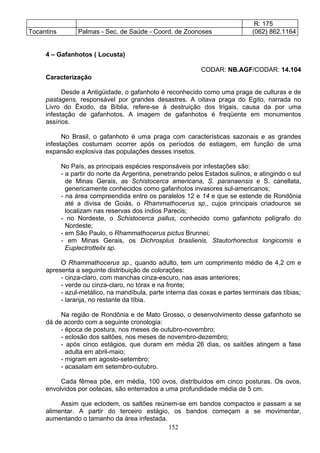 R: 175
Tocantins Palmas - Sec. de Saúde - Coord. de Zoonoses (062) 862.1164
4 – Gafanhotos ( Locusta)
CODAR: NB.AGF/CODAR: 14.104
Caracterização
Desde a Antigüidade, o gafanhoto é reconhecido como uma praga de culturas e de
pastagens, responsável por grandes desastres. A oitava praga do Egito, narrada no
Livro do Êxodo, da Bíblia, refere-se à destruição dos trigais, causa da por uma
infestação de gafanhotos. A imagem de gafanhotos é freqüente em monumentos
assírios.
No Brasil, o gafanhoto é uma praga com características sazonais e as grandes
infestações costumam ocorrer após os períodos de estiagem, em função de uma
expansão explosiva das populações desses insetos.
No País, as principais espécies responsáveis por infestações são:
- a partir do norte da Argentina, penetrando pelos Estados sulinos, e atingindo o sul
de Minas Gerais, as Schistocerca americana, S. paranaensis e S. canellata,
genericamente conhecidos como gafanhotos invasores sul-americanos;
- na área compreendida entre os paralelos 12 e 14 e que se estende de Rondônia
até a divisa de Goiás, o Rhammathocerus sp., cujos principais criadouros se
localizam nas reservas dos índios Parecis;
- no Nordeste, o Schistocerca pallus, conhecido como gafanhoto polígrafo do
Nordeste;
- em São Paulo, o Rhammathocerus pictus Brunnei;
- em Minas Gerais, os Dichrosplus braslienis, Stautorhorectus longicomis e
Euplectrotteilx sp.
O Rhammathocerus sp., quando adulto, tem um comprimento médio de 4,2 cm e
apresenta a seguinte distribuição de colorações:
- cinza-claro, com manchas cinza-escuro, nas asas anteriores;
- verde ou cinza-claro, no tórax e na fronte;
- azul-metálico, na mandíbula, parte interna das coxas e partes terminais das tíbias;
- laranja, no restante da tíbia.
Na região de Rondônia e de Mato Grosso, o desenvolvimento desse gafanhoto se
dá de acordo com a seguinte cronologia:
- época de postura, nos meses de outubro-novembro;
- eclosão dos saltões, nos meses de novembro-dezembro;
- após cinco estágios, que duram em média 26 dias, os saitões atingem a fase
adulta em abril-maio;
- migram em agosto-setembro;
- acasalam em setembro-outubro.
Cada fêmea põe, em média, 100 ovos, distribuídos em cinco posturas. Os ovos,
envolvidos por ootecas, são enterrados a uma profundidade média de 5 cm.
152
Assim que eclodem, os saltões reúnem-se em bandos compactos e passam a se
alimentar. A partir do terceiro estágio, os bandos começam a se movimentar,
aumentando o tamanho da área infestada.
 