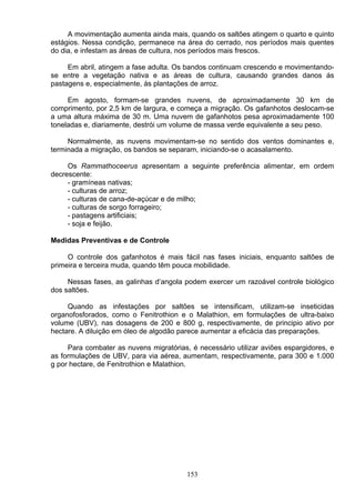 A movimentação aumenta ainda mais, quando os saltões atingem o quarto e quinto
estágios. Nessa condição, permanece na área do cerrado, nos períodos mais quentes
do dia, e infestam as áreas de cultura, nos períodos mais frescos.
Em abril, atingem a fase adulta. Os bandos continuam crescendo e movimentando-
se entre a vegetação nativa e as áreas de cultura, causando grandes danos ás
pastagens e, especialmente, ás plantações de arroz.
Em agosto, formam-se grandes nuvens, de aproximadamente 30 km de
comprimento, por 2,5 km de largura, e começa a migração. Os gafanhotos deslocam-se
a uma altura máxima de 30 m. Uma nuvem de gafanhotos pesa aproximadamente 100
toneladas e, diariamente, destrói um volume de massa verde equivalente a seu peso.
Normalmente, as nuvens movimentam-se no sentido dos ventos dominantes e,
terminada a migração, os bandos se separam, iniciando-se o acasalamento.
Os Rammathoceerus apresentam a seguinte preferência alimentar, em ordem
decrescente:
- gramíneas nativas;
- culturas de arroz;
- culturas de cana-de-açúcar e de milho;
- culturas de sorgo forrageiro;
- pastagens artificiais;
- soja e feijão.
Medidas Preventivas e de Controle
O controle dos gafanhotos é mais fácil nas fases iniciais, enquanto saltões de
primeira e terceira muda, quando têm pouca mobilidade.
Nessas fases, as galinhas d’angola podem exercer um razoável controle biológico
dos saltões.
Quando as infestações por saltões se intensificam, utilizam-se inseticidas
organofosforados, como o Fenitrothion e o Malathion, em formulações de ultra-baixo
volume (UBV), nas dosagens de 200 e 800 g, respectivamente, de principio ativo por
hectare. A diluição em óleo de algodão parece aumentar a eficácia das preparações.
Para combater as nuvens migratórias, é necessário utilizar aviões espargidores, e
as formulações de UBV, para via aérea, aumentam, respectivamente, para 300 e 1.000
g por hectare, de Fenitrothion e Malathion.
153
 