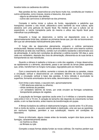 levados todos os cadáveres da colônia.
Nas panelas de lixo, desenvolve-se uma fauna muito rica, constituída por insetos e
outros artrópodes, como moscas, ácaros e besouros, dos quais:
- alguns se alimentam dos detritos;
- outros são carnívoros e alimentam-se dos primeiros.
Compete à rainha iniciar a cultura do fundo, regurgitando a pelotinha que
transportou durante o vôo inicial, utilizando-a como semente da nova cultura, após
adubá-la com uma gotícula do líquido fecal. Na medida em que a cultura vai se
expandindo, a rainha transplanta parte da mesma e utiliza seu liquido fecal para
intensificar sua proliferação.
Enquanto o fungo se desenvolve, a rainha vai depositando ovos e, em
aproximadamente trinta dias, eclodem as primeiras larvas que, por não se locomoverem,
têm que ser alimentadas individualmente pela rainha.
O fungo não se desenvolve plenamente, enquanto a colônia permanece
enclausurada. Nessas condições, a rainha alimenta a colônia com uma reserva nutritiva,
semelhante ao leite dos mamíferos, contido num envoltório resistente e denominado ovo
de alimentação. A rainha tem condições de alimentar a colônia durante 120 dias e, para
cada ovo verdadeiro, deposita dez ovos de alimentação, oferecendo-os ás suas larvas e
transportando-os nas mandíbulas.
Quando a câmara é reaberta e inicia-se o corte dos vegetais, o fungo desenvolve-
se rapidamente e o alimento, abundante, passa a ser servido às larvas pelas operárias
que, antes, transformam os fungos numa papa, regurgitada para as mesmas.
Com o crescimento da colônia, aumenta o número de câmaras ou panelas, cresce
a circulação vertical e desenvolve-se um verdadeiro labirinto de túneis horizontais,
unindo a circulação vertical à base das panelas. A terra retirada é acumulada na
superfície, formando amontoados de terra solta, denominados murundus.
Com trinta e seis meses, o sauveiro tem, aproximadamente:
- 1.000 aberturas externas ou olheiros;
- várias centenas de panelas;
- um verdadeiro labirinto de túneis, por onde circulam as formigas cortadeiras,
transportando pedaços de vegetais.
A população de formigas operárias oscila entre 3 e 4 milhões e o tamanho dessas
varia entre 2 mm e 15 mm. A variação do tamanho não depende do crescimento na fase
adulta, e sim na fase larvária, antes mesmo da transformação em pupas.
A fêmea fundadora da colônia é relativamente longeva, vivendo entre 15 e 20 anos.
Com a morte da rainha, o sauveiro está fadado à destruição, uma vez que as operárias,
em nenhuma hipótese, permitem a sua substituição, mesmo em condições de
laboratório.
Como já informado, alguns meses antes da revoada, surgem dois tipos povos de
formigas, caracteristicamente alados:
- os machos ou bitus;
- as fêmeas ou içás
Compete a essas formas aladas fundar as novas colônias. Os machos perdem sua
156
 