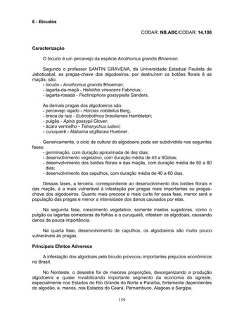 6 - Bicudos
CODAR: NB.ABC/CODAR: 14.106
Caracterização
O bicudo é um percevejo da espécie Anothomus grandis Bhoeman.
Segundo o professor SANTIN GRAVENA, da Universidade Estadual Paulista de
Jaboticabal, as pragas-chave dos algodoeiros, por destruírem os botões florais ê as
maçãs, são:
- bicudo - Anothomus grandis Bhoeman;
- lagarta-da-maçã - Heliothis virescens Fabricius;
- lagarta-rosada - Pectinophora gossypiella Sanders.
As demais pragas dos algodoeiros são:
- percevejo rajado - Horcias nobilellus Berg,
- broca da raiz - Eutinobothrus brasiliensis Hambleton;
- pulgão - Aphis gossypii Glover;
- ácaro vermelho - Tetranychus ludeni;
- curuquerê - Alabama argillacea Huebner.
Genericamente, o ciclo de cultura do algodoeiro pode ser subdividido nas seguintes
fases:
- germinação, com duração aproximada de dez dias;
- desenvolvimento vegetativo, com duração média de 45 a 6Qdias;
- desenvolvimento dos botões florais e das maçãs, com duração média de 50 a 80
dias;
- desenvolvimento dos capulhos, com duração média de 40 a 60 dias.
Dessas fases, a terceira, correspondente ao desenvolvimento dos botões florais e
das maçãs, é a mais vulnerável à infestação por pragas mais importantes ou pragas-
chave dos algodoeiros. Quanto mais precoce e mais curta for essa fase, menor será a
população das pragas e menor a intensidade dos danos causados por elas.
Na segunda fase, crescimento vegetativo, somente insetos sugadores, como o
pulgão ou lagartas comedoras de folhas e o curuquerê, infestam os algodoais, causando
danos de pouca importância.
Na quarta fase, desenvolvimento de capulhos, os algodoeiros são muito pouco
vulneráveis às pragas.
Principais Efeitos Adversos
A infestação dos algodoais pelo bicudo provocou importantes prejuízos econômicos
no Brasil.
No Nordeste, o desastre foi de maiores proporções, desorganizando a produção
algodoeira e quase inviabilizando importante segmento da economia do agreste,
especialmente nos Estados do Rio Grande do Norte e Paraíba, fortemente dependentes
do algodão, e, menos, nos Estados do Ceará, Pernambuco, Alagoas e Sergipe.
159
 