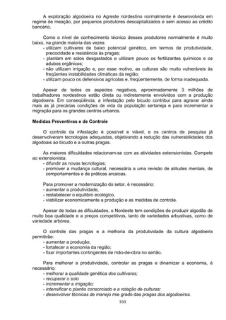 A exploração algodoeira no Agreste nordestino normalmente é desenvolvida em
regime de meação, por pequenos produtores descapitalizados e sem acesso ao crédito
bancário.
Como o nível de conhecimento técnico desses produtores normalmente é muito
baixo, na grande maioria das vezes:
- utilizam cultivares de baixo potencial genético, em termos de produtividade,
precocidade e resistência às pragas;
- plantam em solos desgastados e utilizam pouco os fertilizantes químicos e os
adubos orgânicos;
- não utilizam irrigação e, por esse motivo, as culturas são muito vulneráveis às
freqüentes instabilidades climáticas da região;
- utilizam pouco os defensivos agrícolas e, freqüentemente, de forma inadequada.
Apesar de todos os aspectos negativos, aproximadamente 3 milhões de
trabalhadores nordestinos estão direta ou indiretamente envolvidos com a produção
algodoeira. Em conseqüência, a infestação pelo bicudo contribui para agravar ainda
mais as já precárias condições de vida da população sertaneja e para incrementar a
migração para os grandes centros urbanos.
Medidas Preventivas e de Controle
O controle da infestação é possível e viável, e os centros de pesquisa já
desenvolveram tecnologias adequadas, objetivando a redução das vulnerabilidades dos
algodoais ao bicudo e a outras pragas.
As maiores dificuldades relacionam-se com as atividades extensionistas. Compete
ao extensionista:
- difundir as novas tecnologias;
- promover a mudança cultural, necessária a uma revisão de atitudes mentais, de
comportamentos e de práticas arcaicas.
Para promover a modernização do setor, é necessário:
- aumentar a produtividade,
- restabelecer o equilibro ecológico,
- viabilizar economicamente a produção e as medidas de controle.
Apesar de todas as dificuldades, o Nordeste tem condições de produzir algodão de
muito boa qualidade e a preços competitivos, tanto de variedades arbustivas, como de
variedade arbórea.
O controle das pragas e a melhoria da produtividade da cultura algodoeira
permitirão:
- aumentar a produção;
- fortalecer a economia da região;
- fixar importantes contingentes de mão-de-obra no sertão.
Para melhorar a produtividade, controlar as pragas e dinamizar a economia, é
necessário:
- melhorar a qualidade genética dos cultivaras;
- recuperar o solo
- incrementar a irrigação;
- intensificar o plantio consorciado e a rotação de culturas:
- desenvolver técnicas de manejo mie grado das pragas dos algodoeiros.
160
 
