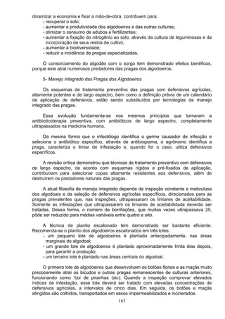 dinamizar a economia e fixar a mão-de-obra, contribuem para:
- recuperar o solo;
- aumentar a produtividade dos algodoeiros e das outras culturas;
- otimizar o consumo de adubos e fertilizantes;
- aumentar a fixação do nitrogênio ao solo, através da cultura de leguminosas e da
incorporação de seus restos de cultivo;
- aumentar a biodiversidade;
- reduzir a incidência de pragas especializadas.
O consorciamento do algodão com o sorgo tem demonstrado efeitos benéficos,
porque este atrai numerosos predadores das pragas dos algodoeiros.
5- Manejo Integrado das Pragas dos Algodoeiros
Os esquemas de tratamento preventivo das pragas com defensivos agrícolas,
altamente potentes e de largo espectro, bem como a definição prévia de um calendário
de aplicação de defensivos, estão sendo substituídos por tecnologias de manejo
integrado das pragas.
Essa evolução fundamenta-se nos mesmos princípios que tornaram a
antibioticoterapia preventiva, com antibióticos de largo espectro, completamente
ultrapassados na medicina humana.
Da mesma forma que o infectólogo identifica o germe causador de infecção e
seleciona o antibiótico especifico, através de antibiograma, o agrônomo identifica a
praga, caracteriza o limiar de infestação e, quando for o caso, utiliza defensivos
específicos.
A revisão crítica demonstrou que técnicas de tratamento preventivo com defensivos
de largo espectro, de acordo com esquemas rígidos e pré-fixados de aplicação,
contribuíram para selecionar copas altamente resistentes aos defensivos, além de
destruírem os predadores naturais das pragas.
A atual filosofia de manejo integrado depende da inspeção constante e meticulosa
dos algodoais e da seleção de defensivos agrícolas específicos, direcionados para as
pragas prevalentes que, nas inspeções, ultrapassaram os limiares de aceitabilidade.
Somente as infestações que ultrapassarem os limiares de aceitabilidade deverão ser
tratadas. Dessa forma, o número de borrifações, que muitas vezes ultrapassava 25,
pôde ser reduzido para médias variáveis entre quatro e oito.
A técnica de plantio escalonado tem demonstrado ser bastante eficiente.
Recomenda-se o plantio dos algodoeiros escalonados em três lotes:
- um pequeno lote de algodoeiros é plantado antecipadamente, nas áreas
marginais do algodoal;
- um grande lote de algodoeiros é plantado aproximadamente trinta dias depois,
para garantir a produção;
- um terceiro lote é plantado nas áreas centrais do algodoal.
O primeiro lote de algodoeiros que desenvolvam os botões florais e as maçãs muito
precocemente atrai os bicudos e outras pragas remanescentes de culturas anteriores,
funcionando como ‘boi de piranhas (sic). Quando a inspeção comprovar elevados
índices de infestação, esse lote deverá ser tratado com elevadas concentrações de
defensivos agrícolas, a intervalos de cinco dias. Em seguida, os botões e maçãs
atingidos são colhidos, transportados em sacos impermeabilizados e incinerados.
163
 