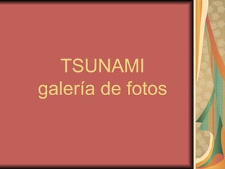 TSUNAMI galería de fotos 