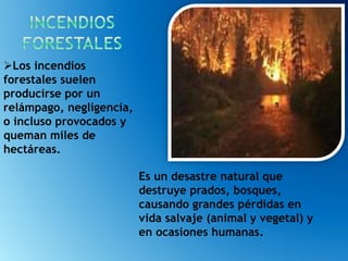 Es un desastre natural que
destruye prados, bosques,
causando grandes pérdidas en
vida salvaje (animal y vegetal) y
en ocasiones humanas.
Los incendios
forestales suelen
producirse por un
relámpago, negligencia,
o incluso provocados y
queman miles de
hectáreas.
 