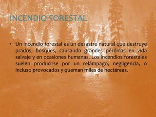 INCENDIO FORESTALUn incendio forestal es un desastre natural que destruye prados, bosques, causando grandes pérdidas en vida salvaje y en ocasiones humanas. Los incendios forestales suelen producirse por un relámpago, negligencia, o incluso provocados y queman miles de hectáreas. 