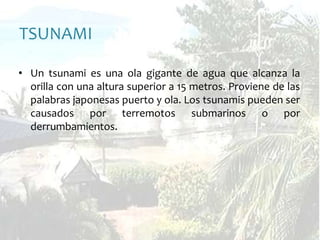TSUNAMIUn tsunami es una ola gigante de agua que alcanza la orilla con una altura superior a 15 metros. Proviene de las palabras japonesas puerto y ola. Los tsunamis pueden ser causados por terremotos submarinos o por derrumbamientos. 