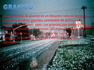 GRANIZOUna tormenta de granizo es un desastre natural donde la tormenta produce grandes cantidades de granizo que dañan la zona donde caen. Los granizos son pedazos de hielo, las tormentas de granizo son especialmente devastadoras en granjas y campos de cultivo, matando ganados, arruinando cosechas y dañando equipos sensibles. 