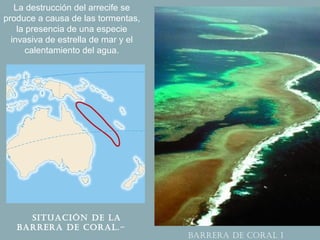 La destrucción del arrecife se
produce a causa de las tormentas,
    la presencia de una especie
  invasiva de estrella de mar y el
       calentamiento del agua.




     SITUACIÓN DE LA
   BARRERA DE CORAL.-
                                     BARRERA DE CORAL 1
 
