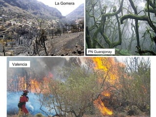 La Gomera




                       PN Guarajonay


Valencia
 