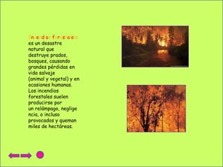 Incendios forestales:
es un desastre
natural que
destruye prados,
bosques, causando
grandes pérdidas en
vida salvaje
(animal y vegetal) y en
ocasiones humanas.
Los incendios
forestales suelen
producirse por
un relámpago, neglige
ncia, o incluso
provocados y queman
miles de hectáreas.

 