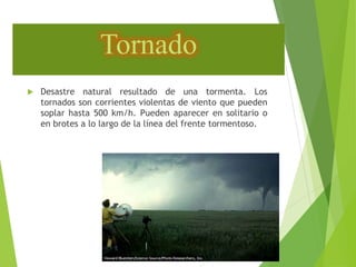 Tornado 
 Desastre natural resultado de una tormenta. Los 
tornados son corrientes violentas de viento que pueden 
soplar hasta 500 km/h. Pueden aparecer en solitario o 
en brotes a lo largo de la línea del frente tormentoso. 
 