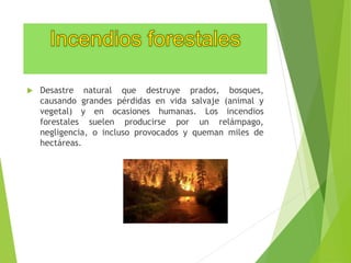 Desastre natural que destruye prados, bosques, 
causando grandes pérdidas en vida salvaje (animal y 
vegetal) y en ocasiones humanas. Los incendios 
forestales suelen producirse por un relámpago, 
negligencia, o incluso provocados y queman miles de 
hectáreas. 
 