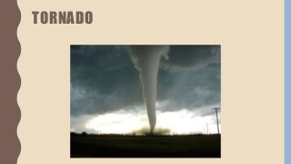 TORNADO
 