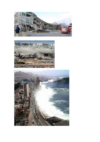 Catástrofe en Japón