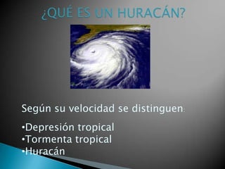 Según su velocidad se distinguen:
•Depresión tropical
•Tormenta tropical
•Huracán

 