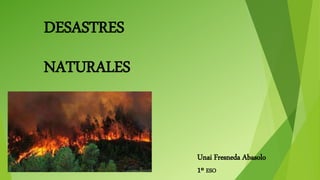 Unai Fresneda Abasolo
1º ESO
DESASTRES
NATURALES
 