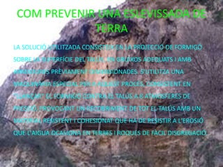 COM PREVENIR UNA ESLEVISSADA DE
TERRA
LA SOLUCIÓ UTILITZADA CONSISTEIX EN LA PROJECCIÓ DE FORMIGÓ
SOBRE LA SUPERFÍCIE DEL TALÚS, EN GRUIXOS ADEQUATS I AMB
ARMADURES PRÈVIAMENT DIMENSIONADES. S'UTILITZA UNA
MAQUINÀRIA ESPECIAL PER A AQUEST PROCÉS, CONSISTENT EN
"LLANÇAR" EL FORMIGÓ CONTRA EL TALÚS A 8 ATMOSFERES DE
PRESSIÓ, PROVOCANT UN RECOBRIMENT DE TOT EL TALÚS AMB UN
MATERIAL RESISTENT I COHESIONAT QUE HA DE RESISTIR A L'EROSIÓ
QUE L'AIGUA OCASIONA EN TERRES I ROQUES DE FÀCIL DISGREGACIÓ.
 
