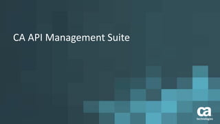 CA API Management Suite
 